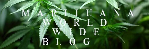 Marijuana World Wide Blod